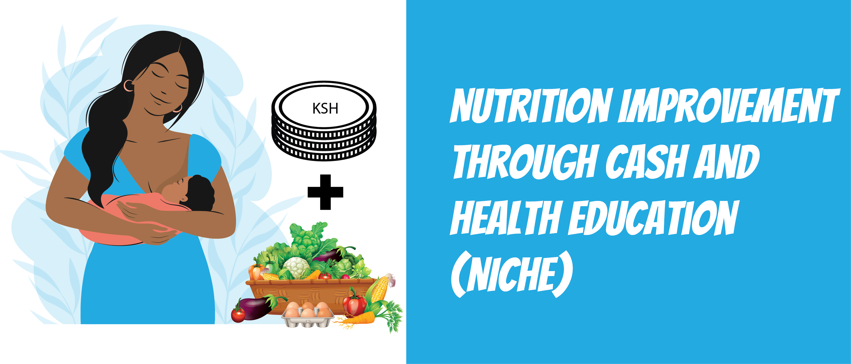 Nutrition Improvement through Cash and Health Education programme poster